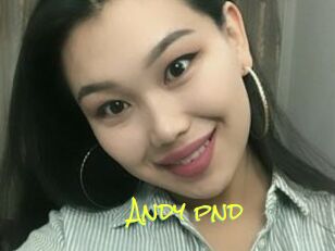 Andy_pnd