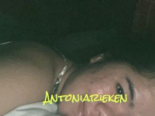 Antoniarieken