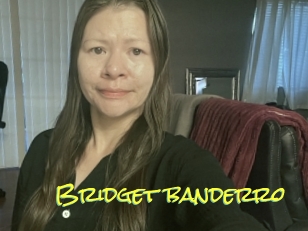 Bridget_banderro