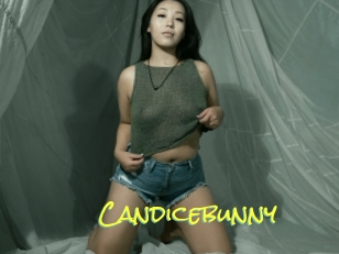 Candicebunny