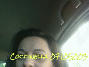 Coccinella-07105003