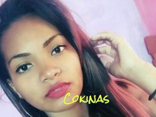 Cokinas