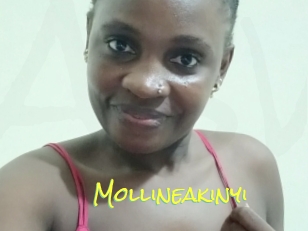 Mollineakinyi